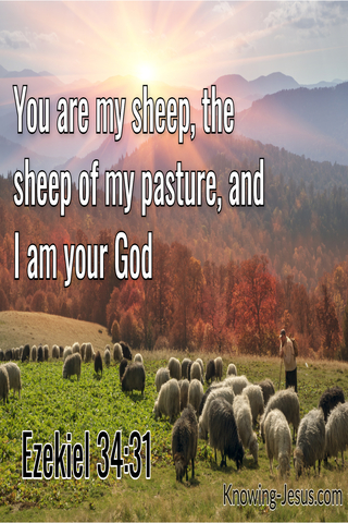 Ezekiel 34:31 You are My Sheep, the Sheep of My Pasture